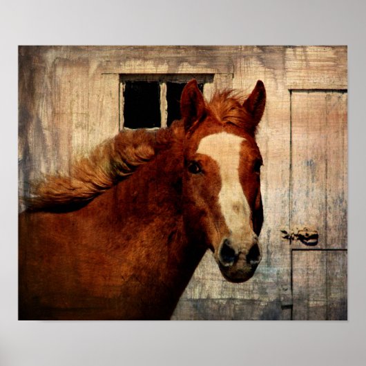 ダンニット ポスター (正面)