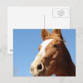 ダンニット ポストカード (正面/裏面)