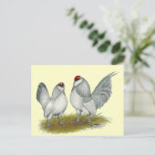 ダンバーズセルフブルーバンタム ポストカード (スタンド正面)