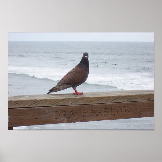 ダンビゲロー ポスター (正面)