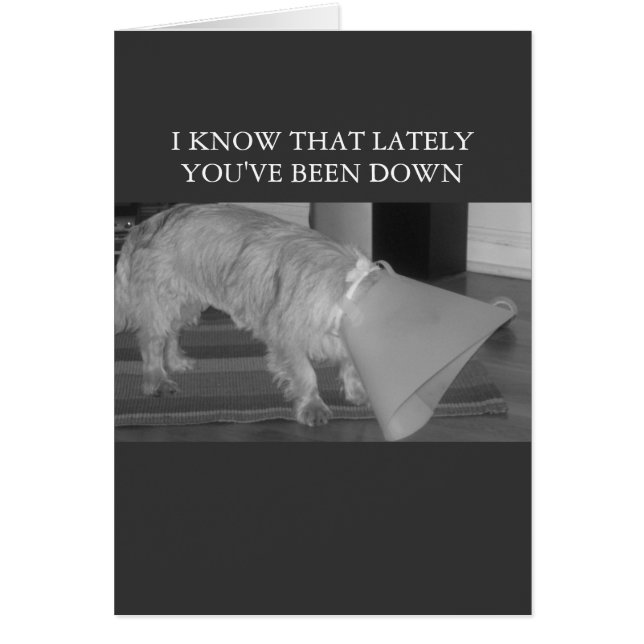 ダンプで (正面)