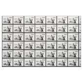 ダンプの切札 ファブリック (ファットクウォーター)