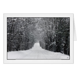 ダンプルン吹雪