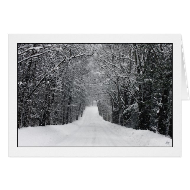 ダンプルン吹雪 (正面横)