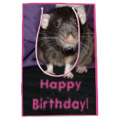 ダンボラット誕生日抱き枕 ミディアムペーパーバッグ (正面)