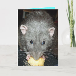 ダンボラッ食べ物トのケーキ誕生日 カード