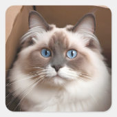 ダンボール箱に入れたラグドール猫 スクエアシール (正面)