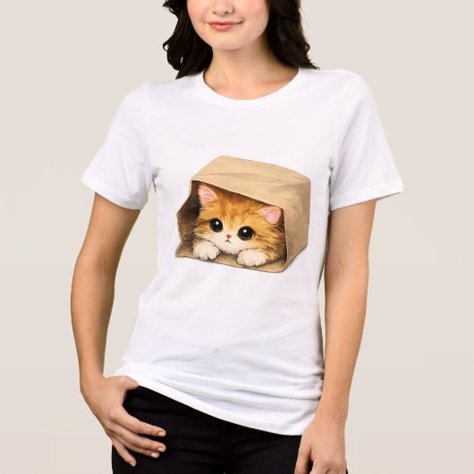ダンボール箱の中の可愛い子猫 トライブレンドTシャツ (正面)