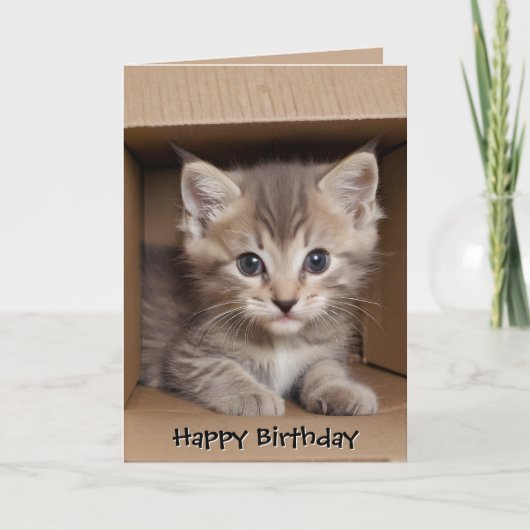 ダンボール箱の中の誕生日の縞模様の子猫 カード (正面)