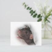 ダンボ・ラッ遊ト? ポストカード (スタンド正面)