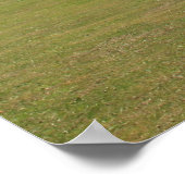 ダンモ素晴らしー ポスター (角)