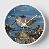 ダンリン素晴らしサンドパイパーショアバードビーチ 壁時計 (正面)
