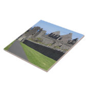 ダンルースキャッスルニアブッシュミルズアンドプラトゥーシュ， 2 タイル (側面)