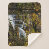 ダンロップクリーク秋 |ウェストバージニア シェルパブランケット (正面)
