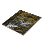 ダンロップクリーク秋 |ウェストバージニア タイル (側面)