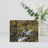 ダンロップクリーク秋 |ウェストバージニア ポストカード (スタンド正面)