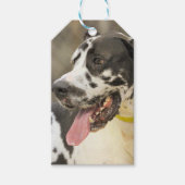 ダン ギフトタグ (正面)