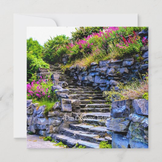 ダン・ラオハイレ、アイルランド風景写真 カード (正面)