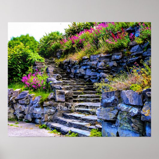 ダン・ラオハイレ、アイルランド風景写真 ポスター (正面)