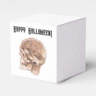 ダヴィンチハロウィーン科学解剖学スカルプリント フェイバーボックス