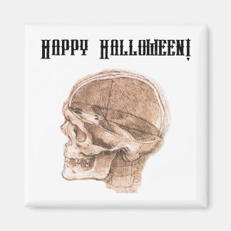 ダヴィンチハロウィーン科学解剖学スカルプリント マグネット