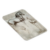 ダヴィンチホース磁石 マグネット (右側)