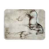 ダヴィンチホース磁石 マグネット (横)