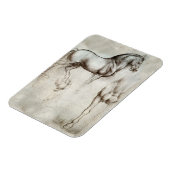 ダヴィンチホース磁石 マグネット (左側)