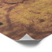 ダヴィンチ – ラスカピグリアータ ポスター (角)