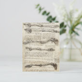 ダヴィンチ，レオナルド – 解剖学勉強 ポストカード (スタンド正面)