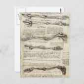 ダヴィンチ，レオナルド – 解剖学勉強 ポストカード (正面/裏面)