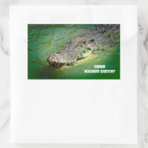 ダーウィンの塩水ワニ