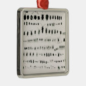 ダーウィンの昆虫のコレクション メタルオーナメント (右)