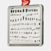 ダーウィンの昆虫のコレクション メタルオーナメント (左)