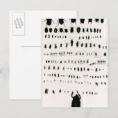 ダーウィンの昆虫採集 ポストカード (正面/裏面)