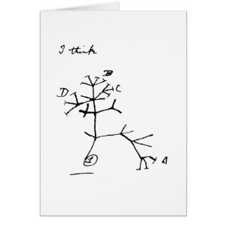 ダーウィンの木