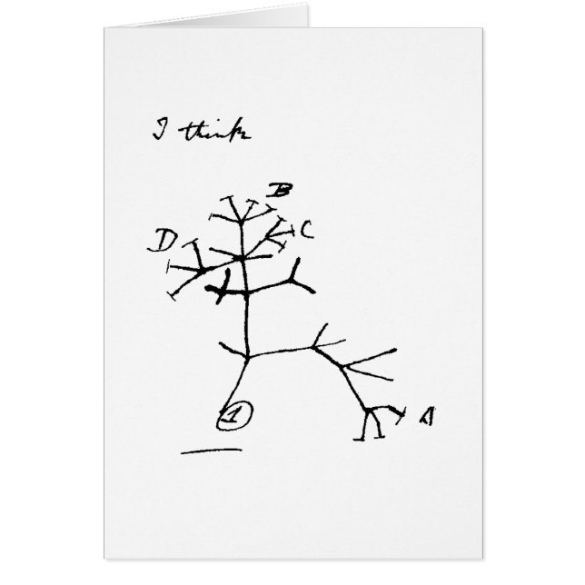 ダーウィンの木 (正面)