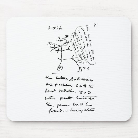 ダーウィンの木 マウスパッド (正面)