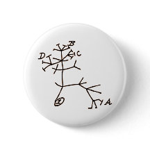 ダーウィンの木