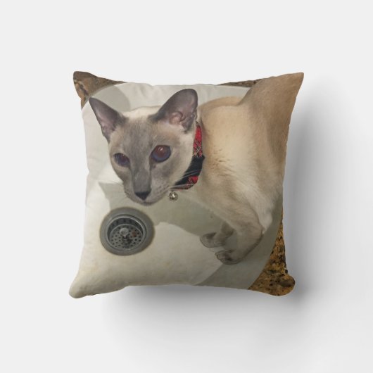 ダーウィンの枕 クッション (裏面)