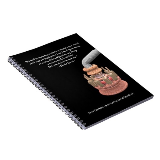 ダーウィンの譲歩と細菌鞭毛 ノートブック (右側)