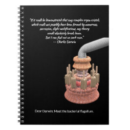 ダーウィンの譲歩と細菌鞭毛 ノートブック