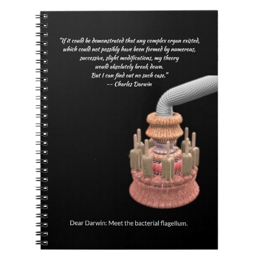 ダーウィンの譲歩と細菌鞭毛 ノートブック (正面)