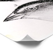 ダーウィンの鳥観察 ポスター (角)