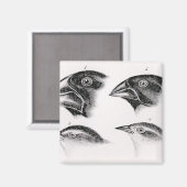 ダーウィンの鳥観察 マグネット (正面/裏面)