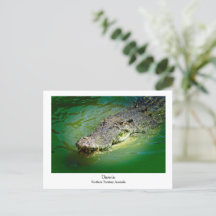 ダーウィンノーザンテリトリー – クロコダイル葉書