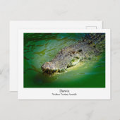 ダーウィンノーザンテリトリー – クロコダイル葉書 シーズンポストカード (正面/裏面)