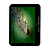 ダーウィンノーザンテリトリー – ワニ磁石 マグネット (縦)