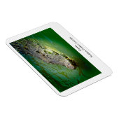 ダーウィンノーザンテリトリー – ワニ磁石 マグネット (右側)