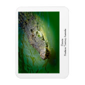 ダーウィンノーザンテリトリー – ワニ磁石 マグネット (縦)